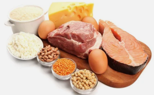 the benefits of a diet based on proteins